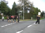 Erntedank_2012 (14).jpg