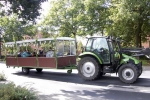 Erntedank_2012 (51).jpg