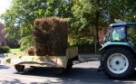 Erntwagen_2008_7.jpg