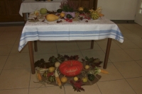 Senioren-Erntedank (1)_2.JPG