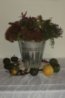 Senioren-Erntedank (3)_2.JPG