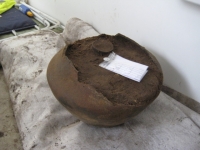 F164_Grabung (3)_1.JPG