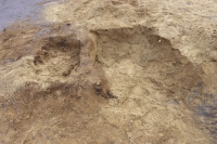 F171_2_Grabung_22.Nov_2013 (72)_1.JPG