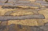 F210_Grabung_22.Nov_2013 (30)_1.JPG