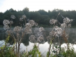 Herbstimpressionen 2009