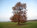 Herbstimpressionen 2009