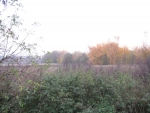 Herbstimpressionen 2009