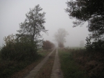 Herbstimpressionen 2009