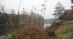 Herbstimpressionen 2009