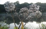 Herbstimpressionen 2009