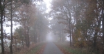 Herbstimpressionen 2009