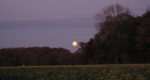 Herbstimpressionen 2009
