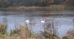 Herbstimpressionen 2009