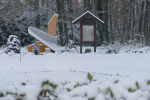 Moorpflug im Schnee-web.jpg
