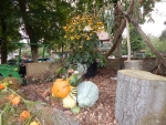 DSCN4699.JPG
