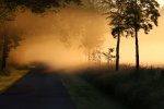 Sonnenaufgang auf der Marschstraße im Nebel: Patrick Weinert