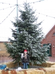 Weihnachten_2010-web_40.jpg