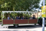 Erntewagenumzug 2010