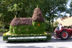 Erntewagenumzug 2010