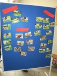 Schulfest_25_450x600.jpg